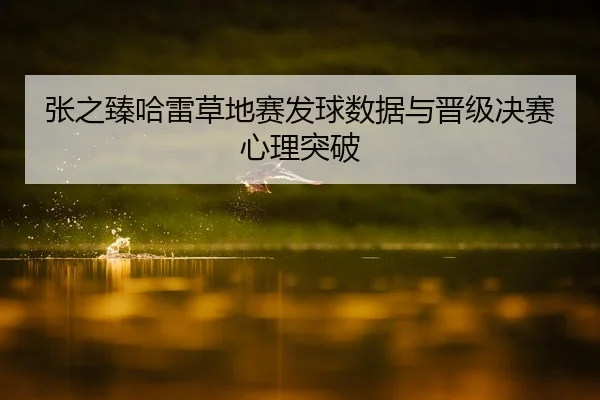 张之臻哈雷草地赛发球数据与晋级决赛心理突破