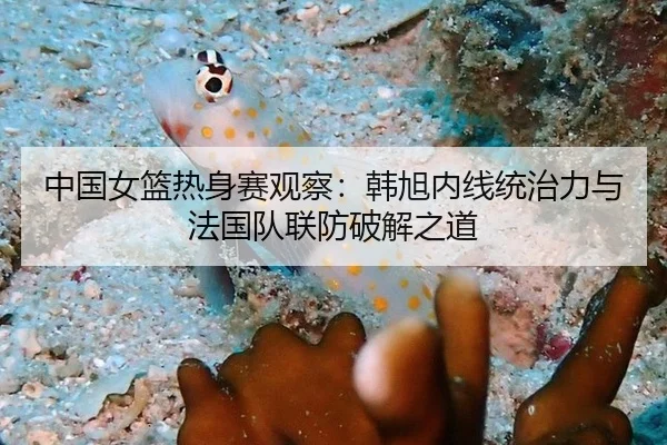 中国女篮热身赛观察：韩旭内线统治力与法国队联防破解之道