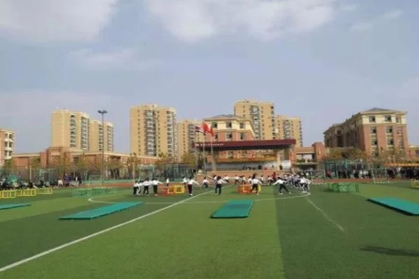 桥牌世界锦标赛中国女队参赛前景与法国强手分析及应对策略